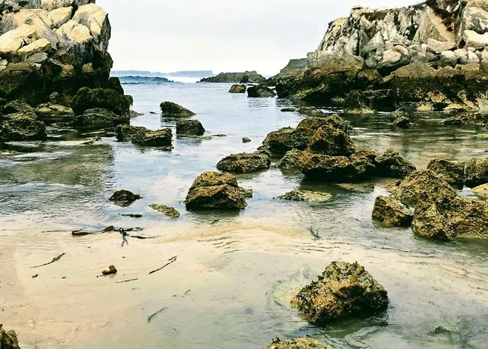 Maia Surf House - Al Apartmán